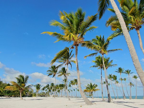 Découvrir le monde en ligne : comment choisir le meilleur site de voyage pour vos aventures