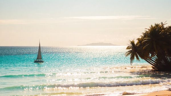 Découverte des îles extérieures des Bahamas : votre guide ultime